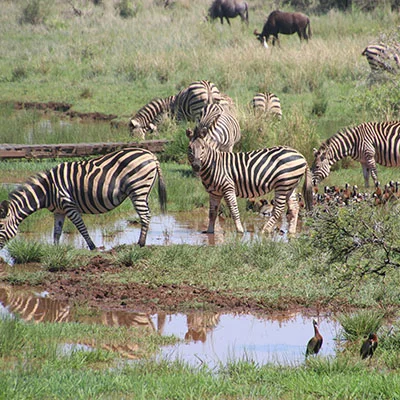 掌握数字自由之门：小火箭Shadowrocket全方位安装配置指南
